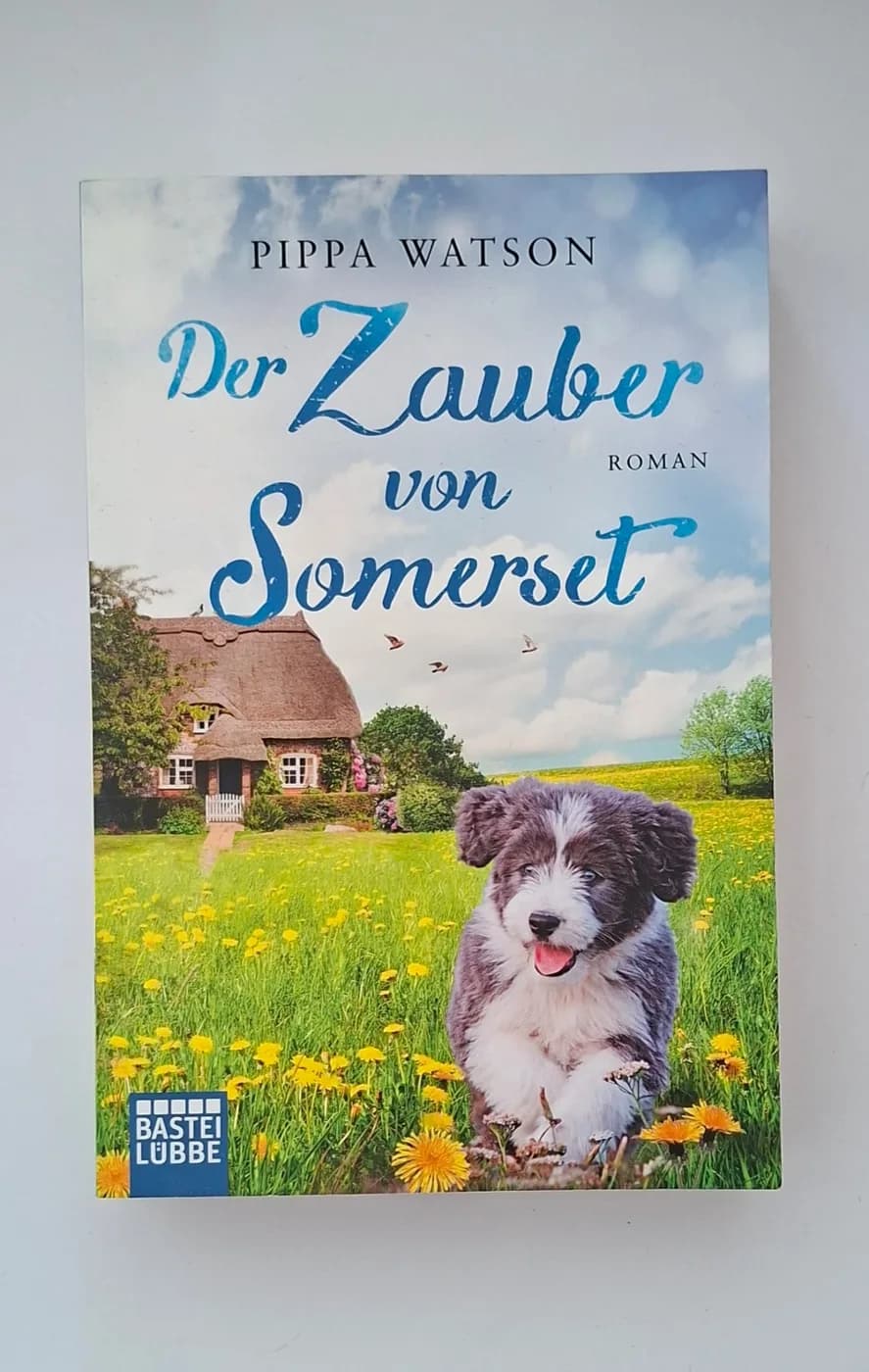 Der Zauber von Somerset